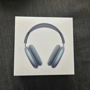 Apple Headphones - Silver and Gray